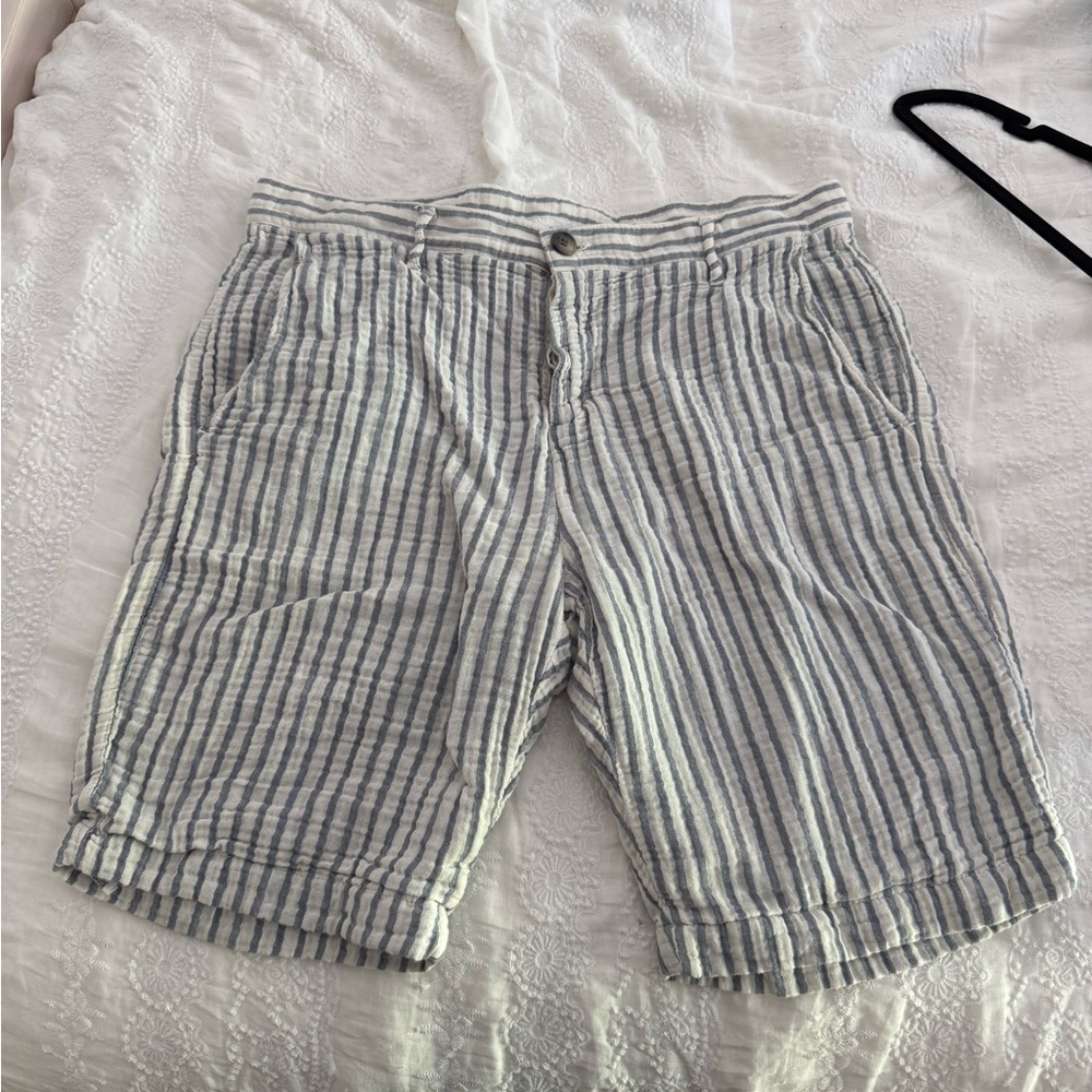 Splendid Striped Men's Shorts